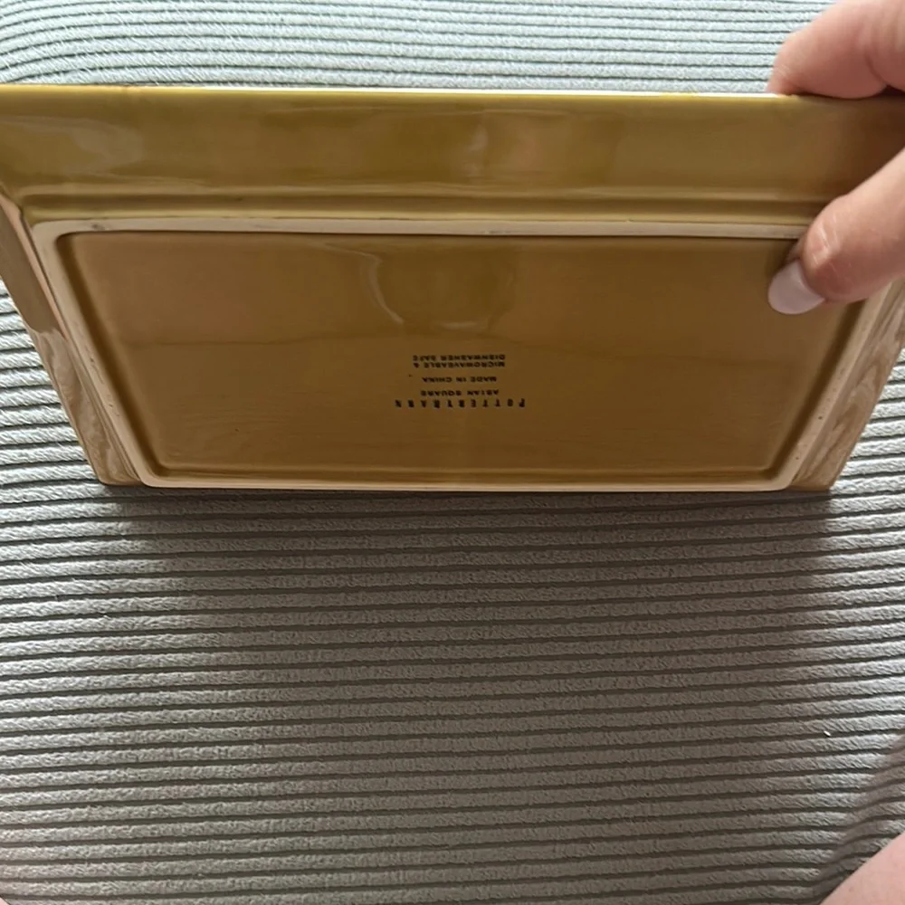 Pottery Barn Asian Square Mustard Rectangular Platter and Bowl